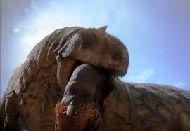 Image result for majungasaurus