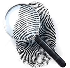Image result for finger prints