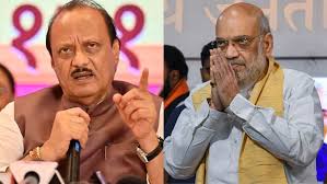 दादाच पॉवरफुल! 132 आमदारांच्या भाजपलाही अजितदादा भारी, गाऱ्हाने थेट अमित शांहाच्या दरबारी