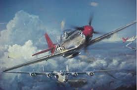 Image result for pictures tuskegee airman