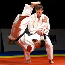 Résultat de recherche d'images pour "judo"
