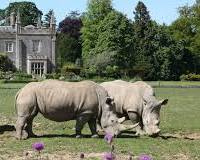 Imagem de Cotswold Wildlife Park