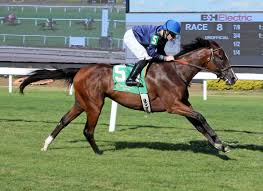 News source: Thoroughbred Daily News