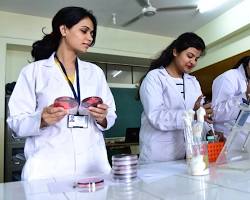 Image of IIS University Labs