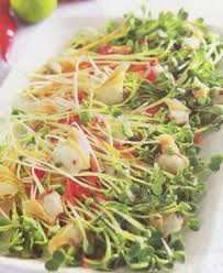 Image result for RAU MẦM CẢI XANH