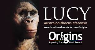 Resultado de imagen de lucy la australopithecus