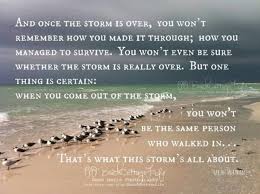 Remember the Storm, and What You Learned | Natural Body Spa and Shop via Relatably.com