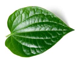 Gambar Daun Sirih