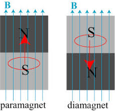 Image result for diamagnetic EXAMPLE