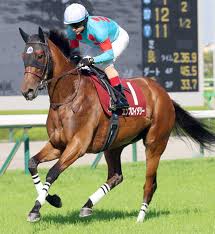 【注目馬動向】エンブロイダリーが引き続きルメール騎手とのコンビでヴィクトリアマイルへ