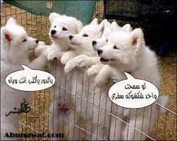 تعاون الكلاب   ههههههههههههه - صفحة 2 Images?q=tbn:ANd9GcRBSJTzDxadxcB0cLjFyvn-BNyzJciU6oiFzmzF1OvqOnpQUHOu