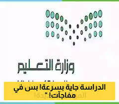 يمن برس - News update