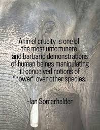 Ian somerhalder quote animal cruelty,,and They Will Stand Before ... via Relatably.com