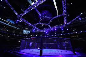 UFC 330: All-action finisher saves welterweight bout on Islam Makhachev vs. Ian Machado Garry fight card