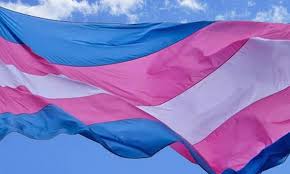 Dia da Visibilidade Trans é comemorado nesta quinta-feira (29); entenda origem e importância da data