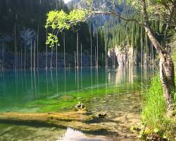 Gambar Danau Kaindy, Kazakhstan