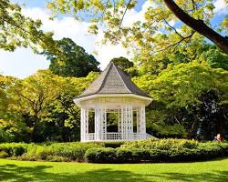 Hình ảnh về Singapore Botanic Gardens