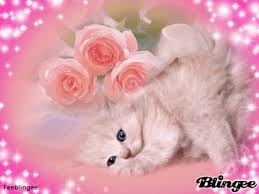 Rsultat de recherche d'images pour "BELLES ROSES"