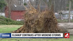 Strong storms leave trail of damage across Metro Detroit — cleanup could take weeks