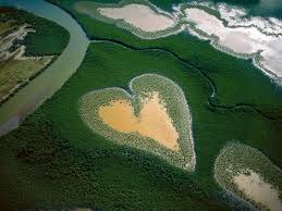 coeur de voh yann arthus bertrand