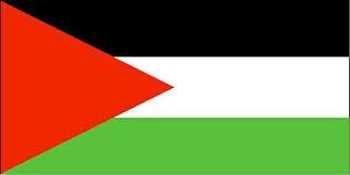 صحيح ان لن نحرر ارض فلسطين Images?q=tbn:ANd9GcRBo-J86SBkDQXSG_QJSo2sSRBf_5-rjcSfWjOsJdiUyEbuYjSD