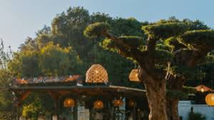 Trend Google: parco caracalla