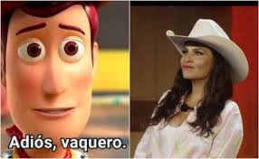 La Granja VIP: los mejores memes que dejó la eliminación de Fabiola Campomanes