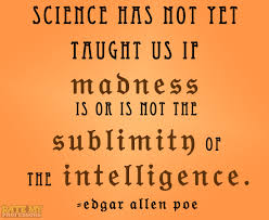 Science has not yet taught us if madness is or is... via Relatably.com