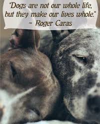 Famous Quotes About Animal Cruelty. QuotesGram via Relatably.com
