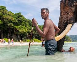 Image of Elephant Beach Trek Havelock Island