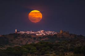 Brasil | National Geographic - News update