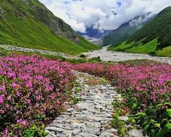 Image of Valley of Flowers in Uttarakhand