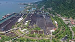 PTBA Akan Bagikan Dividen Rp 3,83 T atau Setara 75% Laba