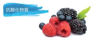 「抗酸化物質」の画像検索結果