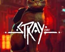 Bildmotiv: Stray