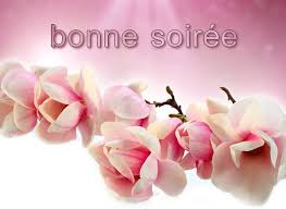 Résultat de recherche d'images pour "images bonne soirée"