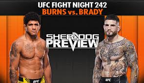 Preview: UFC Fight Night 242 ‘Burns vs. Brady’