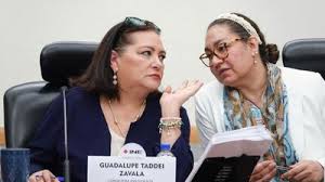 Renuncia la secretaria ejecutiva del INE a un día de que comience el proceso electoral del 2027