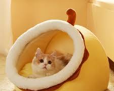 fluffy domeshaped cat bedの画像