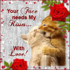 Résultat de recherche d'images pour "images animées"