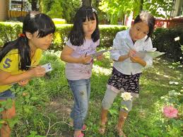 Image result for naturalistic intelligence