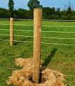 Fence posts wood