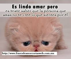 Resultado de imagen para frases de amor cortas para dedicar a un amor no correspondido