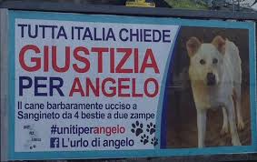 Risultati immagini per uniti per angelo cane