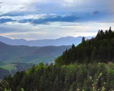Immagine di Dilijan National Park, Armenia