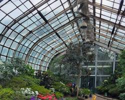 Image of Lincoln Park Conservatory, Chicago