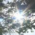 City of Toledo hosts pop-up park party
