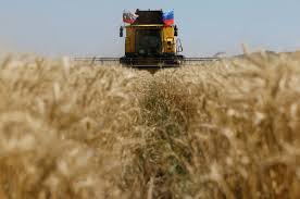 Ucrânia pede a Israel apreensão de navio com grãos que diz terem sido roubados pela Rússia