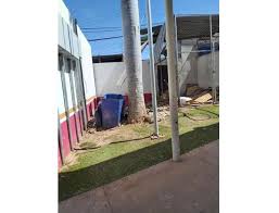 Atiende Issste reporte de plaga de roedores en Hospital Regional de Culiacán