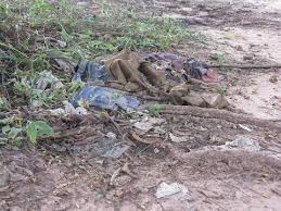 Image result for cambodia history killing fields